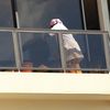Une employée à domicile nettoie un balcon chez un particulier. Image d'illustration. (PHILIPPE TURPIN / MAXPPP)